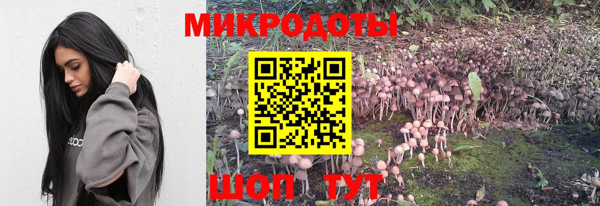 Псилоцибиновые грибы Psilocybe Жигулёвск