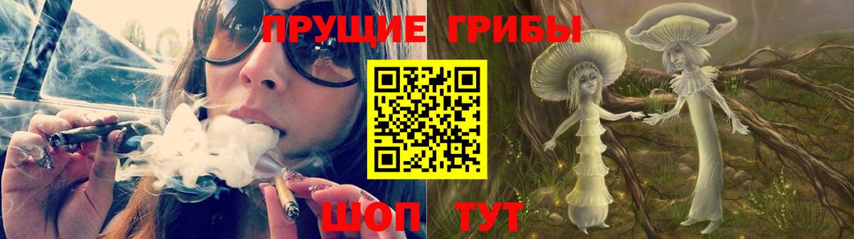 Жигулёвск  Галлюциногенные грибы мухоморы  Вход с VPN 